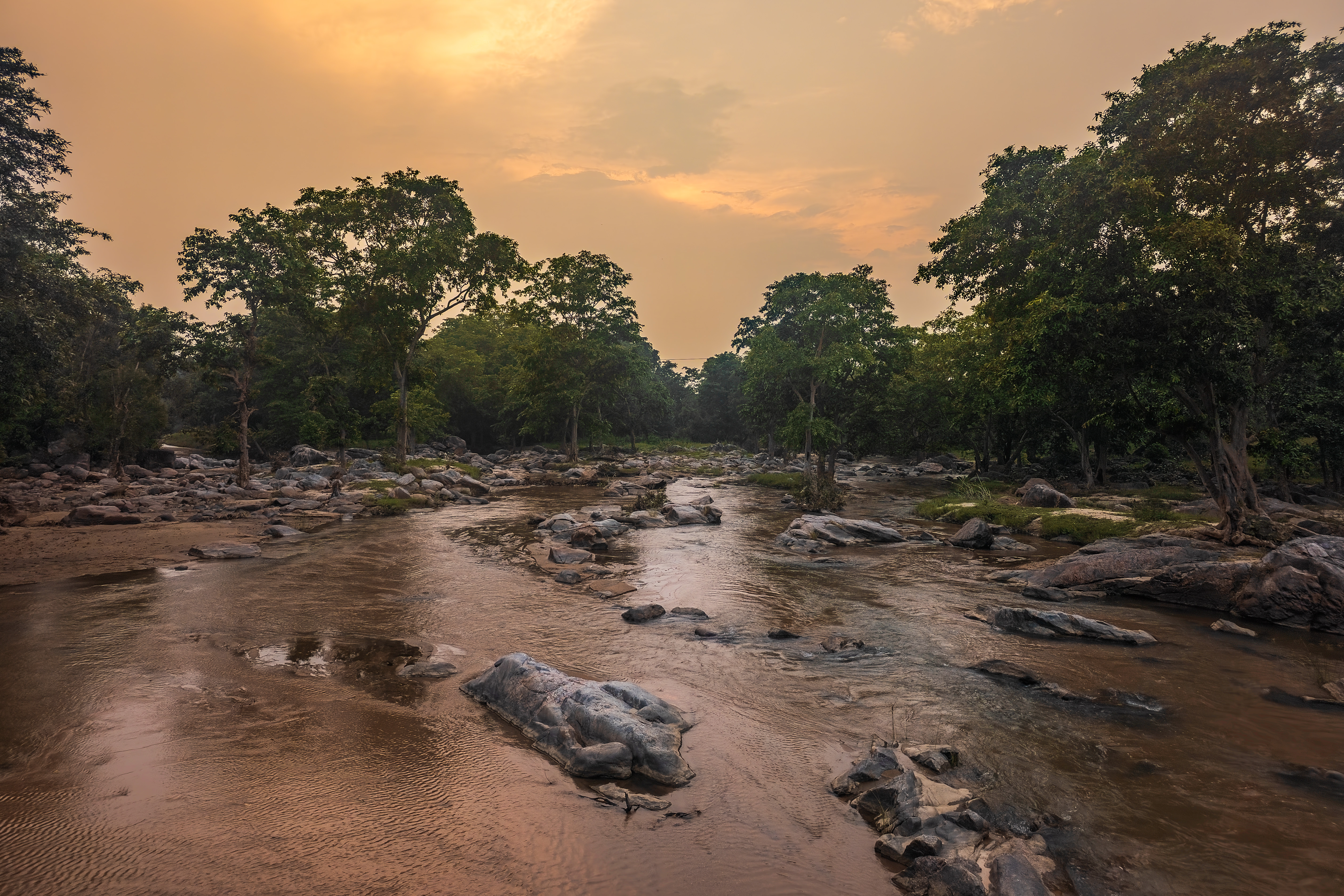 Fine Dining Restaurant