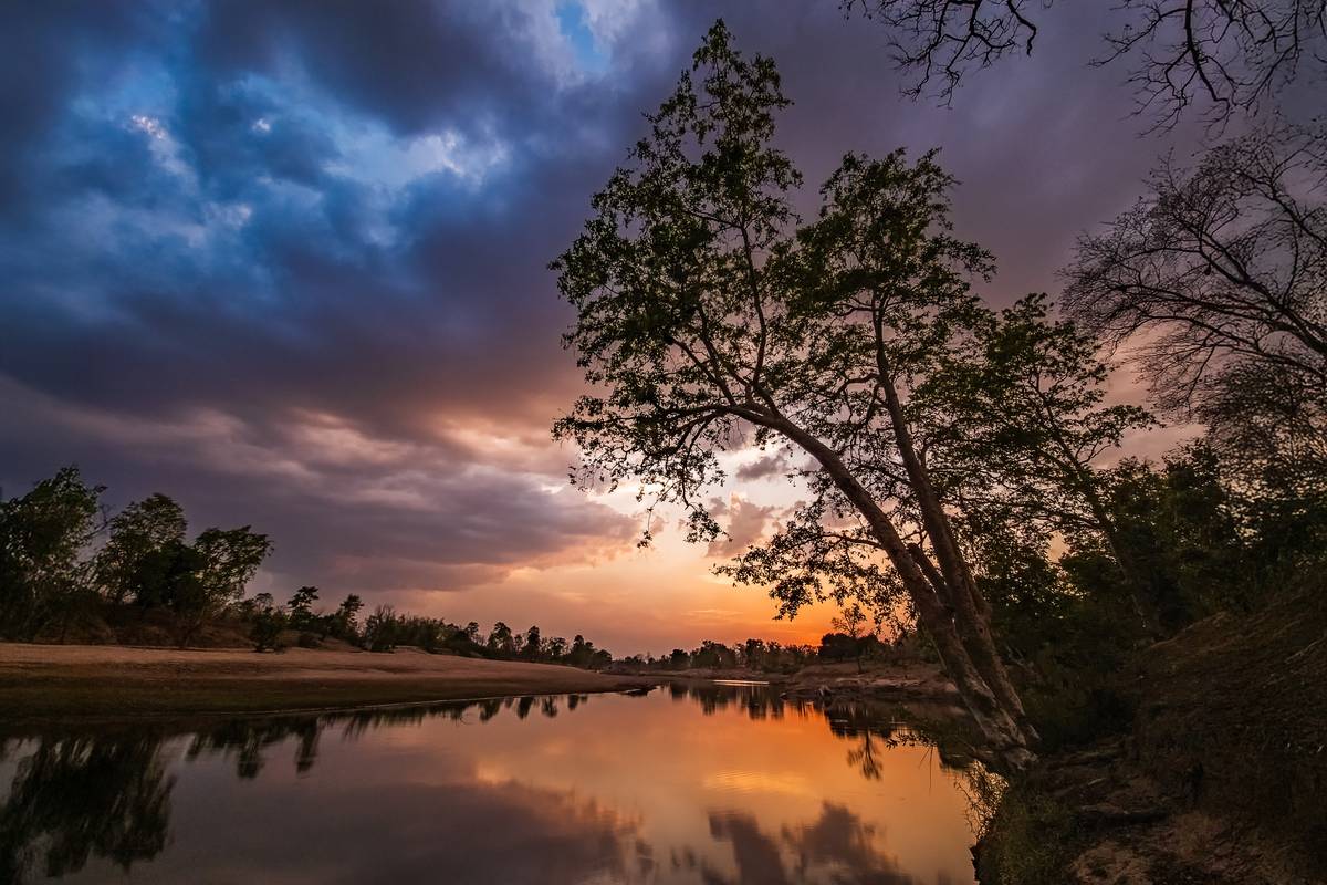 Nature