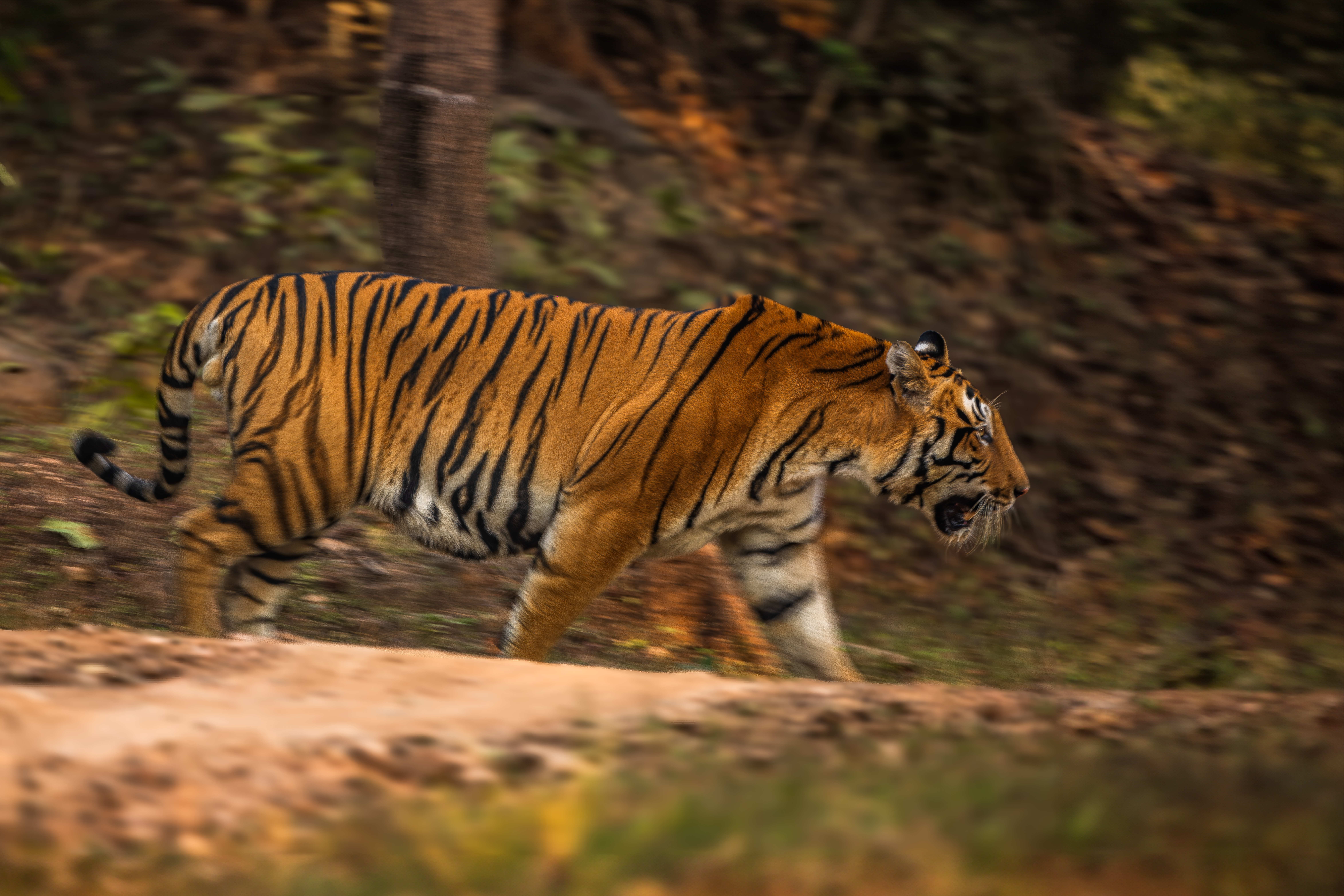 Fine Dining Restaurant