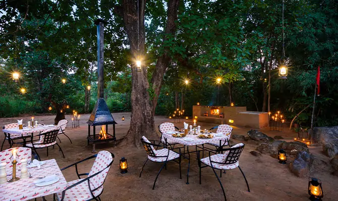 Bush Dinner Experience