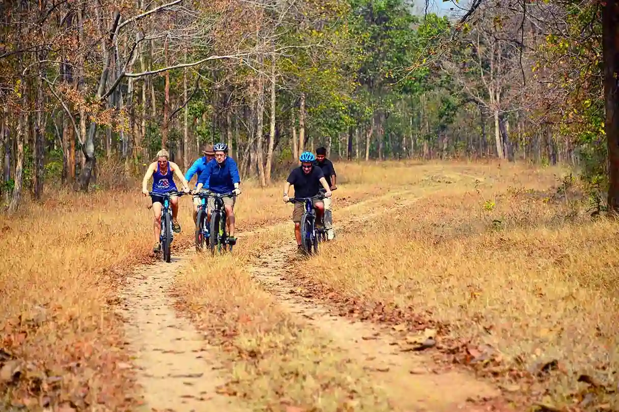 Nature Trail Expedition
